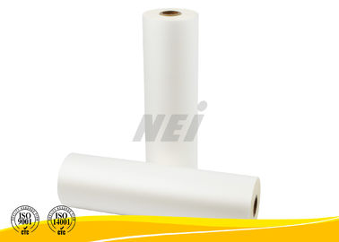 폴리에스테 애완 동물 필름 목록, 유형을 가공하는 Mylar 폴리에스테르 막 다수 밀어남