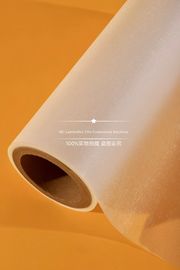 다수 밀어남 잡지를 위한 우수한 EVA와 가진 뜨거운 박판 영화 Rolls