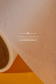 방습 뜨거운 박판 영화 고능률 강한 Adhesiveness